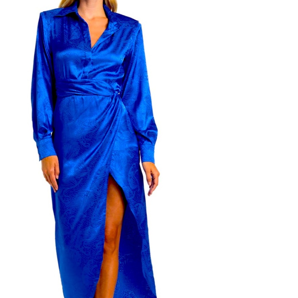 Ronny kobo Bernice dress size XS NWT retails for $528.